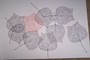 č.14 Listy Liriodendronu, 2/0, arch 44 x 65 cm, motiv 42 x 60 cm, 1 autorský list. Cena 249,-Kč.